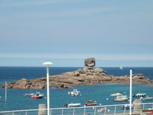 提赫嘎它尔博塞茹尔沙龙餐厅酒店的海洋中的雕像,水中有船