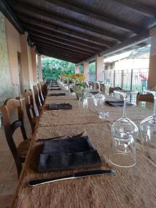 MaenzaLa fattoria di Carlotta的长木桌子、椅子和酒杯