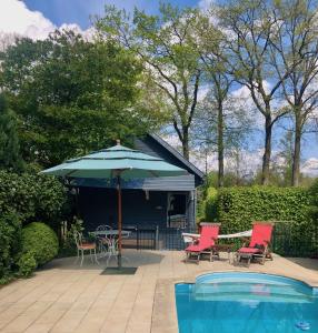 登多尔德The Pool House的游泳池旁的天井配有椅子和遮阳伞。