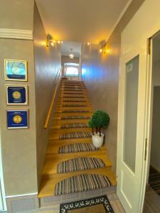 萨拉热窝Guesthouse Kod Keme的一座种植盆栽植物的建筑中的楼梯