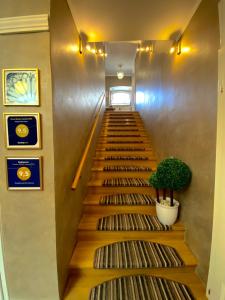 萨拉热窝Guesthouse Kod Keme的楼房中带有盆栽植物的楼梯
