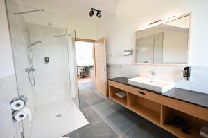 克舍尔Danner-Hof的浴室配有盥洗盆和带镜子的淋浴