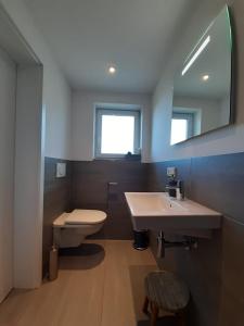Rettenbach am AuerbergGästehaus Maria的一间带水槽、卫生间和镜子的浴室
