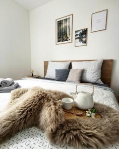 拉贝河畔罗乌德尼采Apartmány Ve stodole的一间卧室配有一张棕色毛地毯的床