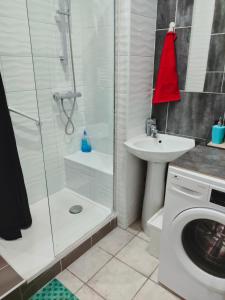 圣艾蒂安Blanc de Tardy的带淋浴、盥洗盆和洗衣机的浴室