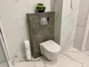 米兹多洛杰Fischer Apartments的白色的浴室设有卫生间和植物