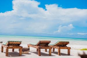 帕杰Maisha Matamu Beach Hotel Paje的海滩上的两把椅子,与大海