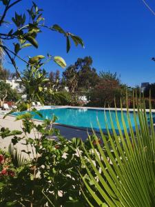 凯麦尔Kiriş Garden Hotel的花园内的游泳池
