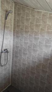 MiežoniaiNamelis prie ežero的带淋浴的浴室(带瓷砖墙)