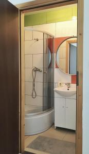 戈斯蒂宁Apartamenty w Młynie的带淋浴和盥洗盆的浴室