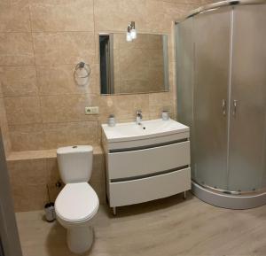 KopylovЗатишна однокімнатна квартира під Києвом的浴室配有卫生间、盥洗盆和淋浴。