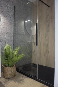 维尔卡瑟Apartamenty na skarpie - Niegocińska 2,的植物旁玻璃门淋浴