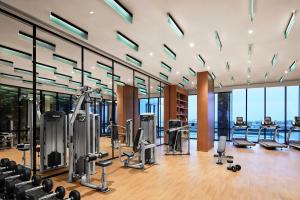 钦奈Taj Wellington Mews Chennai的大楼内带跑步机和有氧器材的健身房