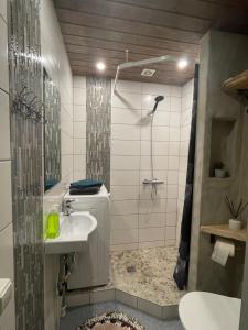 派德Renthouse Guest Apartment ADEELE的带淋浴和盥洗盆的浴室