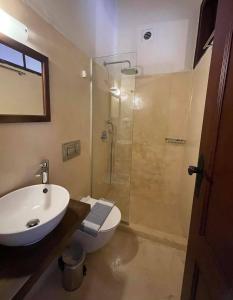 干尼亚Captain Vasilis Hotel的带淋浴、卫生间和盥洗盆的浴室