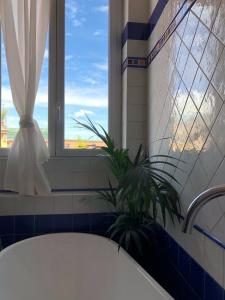 米兰Sant'Ambrogio with charme的带浴缸的浴室和窗户