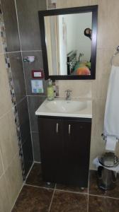 萨兰托Hotel Selva Verde的一间带水槽和镜子的浴室