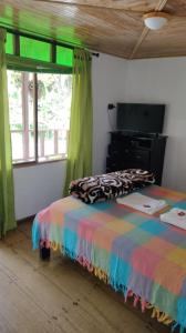 萨兰托Hotel Selva Verde的一间卧室设有一张床、一台电视和窗户。