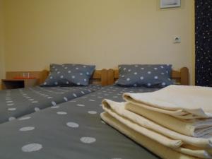 Guest House Regionalni Centar Nis客房内的一张或多张床位