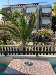 萨尔蒂Villa Lemar的一座建筑前的一张桌子,上面有棕榈树