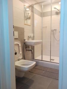 布兰纳Penzion La Baita的浴室配有卫生间、盥洗盆和淋浴。