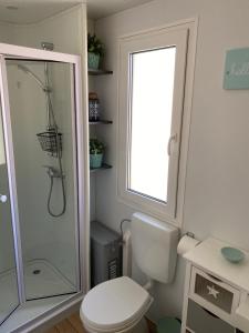 罗维尼Mobile Home BIONDINA Camp Porton Biondi的一间带卫生间和淋浴的浴室以及窗户。