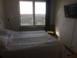 维斯比Snäck Apartment floor 11 sea view的一间卧室设有一张床和一个大窗户