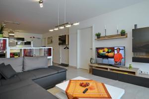 海利根达姆Linden-Palais Wohnung 02的带沙发和平面电视的客厅