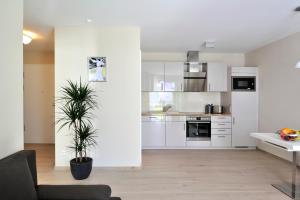 海利根达姆Linden-Palais Wohnung 10的厨房配有白色橱柜和盆栽植物