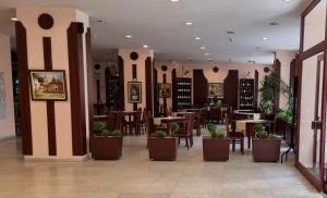 索非亚高尔纳班亚酒店的一间设有桌椅和盆栽的餐厅