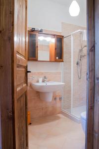 阿西西All'Ombra di San Damiano的一间带水槽和淋浴的浴室