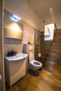 博维茨Apartmaji Prton Bovec的浴室配有卫生间、盥洗盆和淋浴。