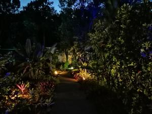 黑角Blue Kaz Caraïb的夜间花园,路旁灯火通明