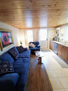 巴利马尼The Nook @ Rowan Tree Cottage的一间带蓝色沙发的客厅和一间厨房