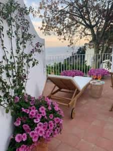 波西塔诺Villa Fortuna的庭院里种着粉红色的鲜花,设有长凳
