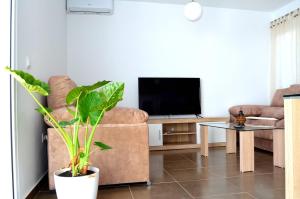 瓜迪亚纳河畔桑卢卡尔La Tinajita的带沙发和电视的客厅