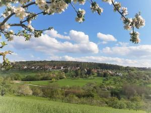 KottweilFerienwohnung Berglen-Domizil的享有绿地、树木和房屋的景色