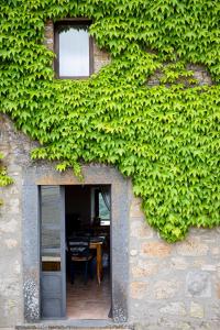 巴尼奥雷焦Acqua di Civita Beauty & Rooms in Mercatello的一座绿色常春藤的建筑,在它的一侧长大