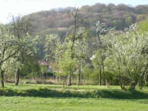 Gîte Halles-sous-les-Côtes, 4 pièces, 6 personnes - FR-1-585-5的一片树木和山丘的田野