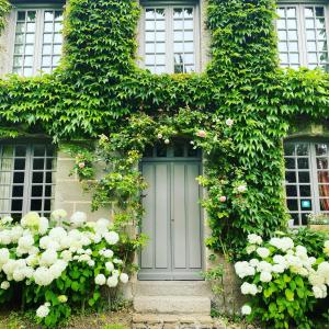 翁弗勒尔La Maison d'Aline - Honfleur - Maison d'Hôte De Charme A La Normande的一座带蓝色门和一些花的房屋