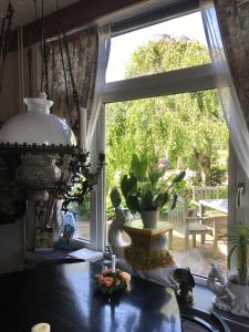 韦斯滕斯豪文鲱鱼酒店的厨房设有大窗户和植物桌子