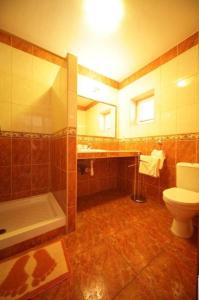 大梅杰尔塔拉民宿酒店的浴室配有卫生间、浴缸和水槽。