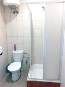 NeveronysKambarių nuoma - Neveronys SAURIDA的浴室设有卫生间和带浴帘的淋浴。
