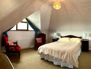 卡赫达尼Derrynane Bay House的一间卧室配有一张床、两把椅子和一个吊灯