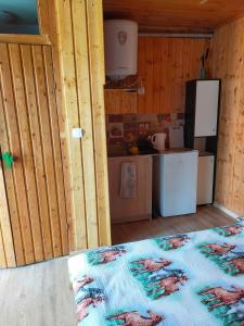 维塞乌卡Iza-pokoje do wynajecia的一间设有厨房的客房,地板上铺有地毯