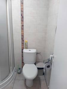 希奥利艾Kambarių nuoma - Šiauliai SAURIDA的一间带卫生间和淋浴的小浴室
