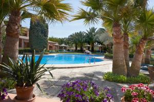 坎波斯索玛歌酒店的棕榈树和鲜花的度假游泳池