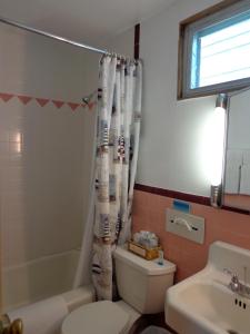 法尔茅斯小镇海滩汽车旅馆的一间带卫生间和淋浴帘的浴室