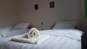 巴伊纳巴什塔Apartman Jovanović的一间卧室配有两张带毛巾的床