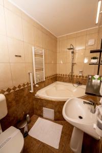 奥拉迪亚Hotel Novotheos的带浴缸、盥洗盆和卫生间的浴室
